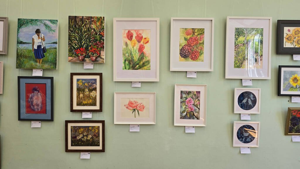 Watercolour paintings by Aliya Bodnar displayed on a white wall during Medway Open Studios 2025, arranged in a harmonious grid layout.