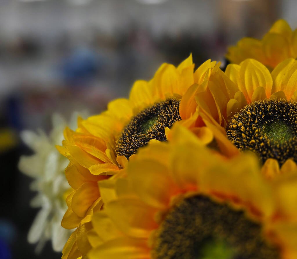 Close-up of a vibrant sunflower watercolor painting by Aliya Bodnar, featured in an article about her art class.