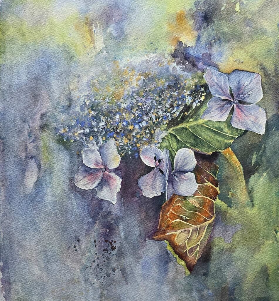 Hydrangea Reverie watercolour painting by Aliya Bodnar depicting blooming hydrangeas in soft morning light